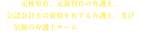 元検察官、元裁判官の弁護士、公認会計士の資格を有する弁護士、及び気鋭の弁護士チームによる弁護対応